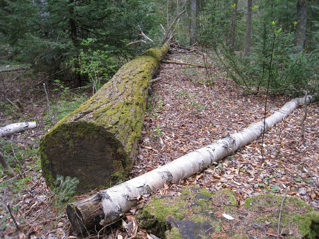 Mackinaw Island Area May 2008 1048.jpg - May 24 2008 a trip to Mackinac City for a 5 M race and a visit to Mackinac Island. A day to the UP, Paradise, Whitefish Point and Tahquamen Falls. This was followed by trips to Petoskey and Charlevoix.